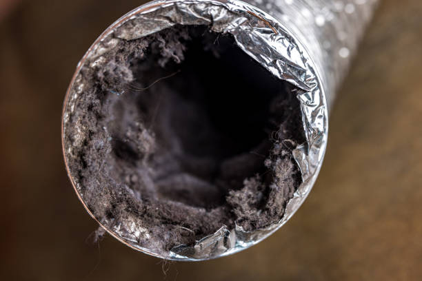 Best Affordable Air Duct Cleaning  in Von Ormy, TX