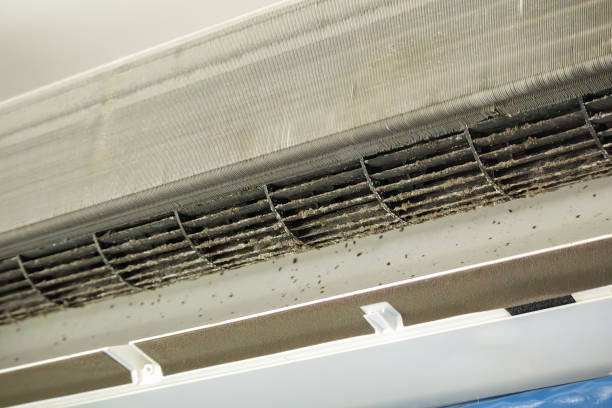 Best Affordable HVAC Duct Cleaning  in Von Ormy, TX